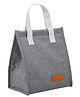 Bunie Insulated Multipurpose Lunch Bag with Handle Design  Grey