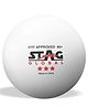 Stag Global 3 Star 40+ MM Table Tennis Ball pack of 24 balls,  Special Rome Edition