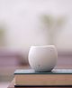 KOA THE SAND WIND BOHEMIAN TUMBLERS- SET OF 4