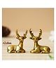 eCraftIndia Set of 2 Golden Brass Deer Statues Showpieces Animal Figurines