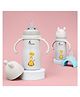 R for Rabbit Steebo Tiny Tales Premium Stainless Steel Straw Sipper for Baby, Leak & Spill Proof BPA Free Soft Silicone Straw Drinking Sipper Bottle for Baby Boy & Girl of 9+ Months (270ml, Beige)