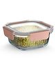 Bergner Smart Lock Borosilicate Square Food Container 520ml