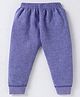 Bodycare Cotton Knit Full Length Thermal Pant with Stripes Detailing - Purple