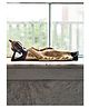 eCraftIndia Decorative Thai Reclining Buddha Antique Showpiece