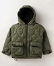 Little Kangaroos Knit Full Sleeves Hooded Padded Jacket With Quilted Design - Olive Green