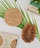 Almitra SustainablesCoconut Fiber- Coir Scrub & Vegetable Cleaner