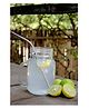 Almitra Sustainables  Stainless Steel straw Cleaner