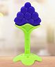 Kidbea Baby Fruit & Spoon Feeder with Blue Grapes Shape Silicone Baby Teether, Anti-Colic, Plastic-Free Pack of 3