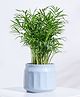 Ugaoo Jar Ceramic Cloud Grey Pot