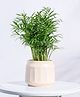 Ugaoo Jar Ceramic Eggshell White Pot