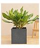 UGAOO Qubec Midnight Stone Large Planter