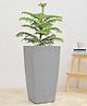 UGAOO Paris Grey Stone Small Planter