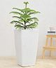 UGAOO Paris White Stone Small Planter