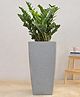 UGAOO Paris Grey Stone Large Planter
