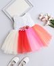 The Magic Wand Sleeveless Floral Applique Detailed Colour Blocked Net Dress - Multi Colour
