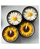 Paper Moon Set of 3 Big Floating Sunflower Candles Diyas  for Diwali Festival Home Decor and Office - Color May Vary