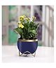 VOIDROP Round Shape Small Size Table Planters Drainage hole with Stand Pot for Living Room Indoor Decorative Planter Outdoor Plant Containers Balcony Decoration Garden Decor Pot,Blue
