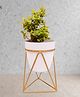 VOIDROP Iron Planter Pot Drainage hole with Metal Stand for Indoor and Outdoor Plants & Flowers | Table Top Planter with Stand for Living Room, Home Decor, Terrace, Balcony & Home Gardening, White