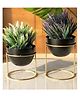 VOIDROP Set of 2 Metal Plant Pot with Stand | Flower Indoor Planter | Living Room Outdoor Garden | Office Desk Pot with Gold Metal Stand for Herbs Orchids Cacti Succulents,Set of 2