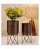 VOIDROP Elle Antique Bronze Metal Planter with Stand |Pack of 2  Planters for Living Room, Bedroom Decor (Big Elle Antique)
