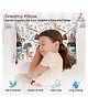 Baby of Mine Premium Baby Infant Pillow for Kids Age 1 Year To 5 Years - Imported Super Soft Fabric - Princess Dragon Print