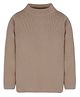 RVK Full Sleeves Solid Stretchable Skivvy Pullover Sweater- Skin