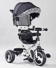 Play Nation Little Zebra Tricycle With Parental Push Handle & Canopy - White