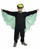 Kaku Fancy Dresses Halloween Theme Dragon Sitara Wings & Mask - Green