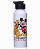 Babyhug Disney Mickey & Friends Stainless Steel Water Bottle|Leak Resistant|BPA Free|Rust Proof|750ml