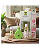 Iris Homefragrances Combi Pack - Lemongrass Reed Diffuser set with 45ml oil 9