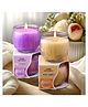 Iris Homefragrances Swirl Jar candle- Pack of 2- Fragrance Mango Sorbet and Lavender
