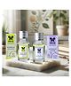 Iris Homefragrances 15ml Fragrance Vaporizer Oil- Set of 2- Lavender and Lemon Grass