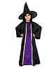 Itsmycostume Halloween Theme Full Sleeves Wicked Witch Costume Set - Black