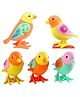 AKN TOYS Colorful Funny Key Operated Wind up Jumping Bird Toy-Pack of 2 - Color May Vary