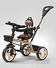 Baybee Albine 2 in 1 Baby Tricycle for Kids, Plug N Play Kids tricycle with Adjustable Parental Control, Cushion seat & Safety Guardrail - Brown
