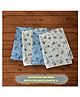Lollipop Lane Waterproof Quick Dry Noiseless Reusable Bed Pad / Mattress Protector Sheet / Urine Sheet for Kids and Adults - Blue/White - Small (Pack of 4)