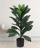 ARICK DECOR 33 inch Artificial Boston Fern Plants With Black Pot | Home Decor, Office Decor Perfect decor Gift, Set of 1