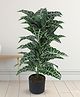 ARICK DECOR 33 inch Artificial Plants Happy Philo Plants With Black Pot | Home Decor, Office Decor Perfect decor Gift, Set of 1