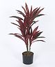 ARICK DECOR 2.4 Feet Artificial Dracaena Plants With Black Pot | Home Decor, Office Decor Perfect decor Gift, Set of 1