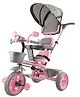 JoyRide Tiny Trekker Tricycle for Kids 1.5 to 5 Years with Reversible Seat,Parental  Push Handle, Foldable Canopy Storage Baskets |Plug & Play Trikes for Girls Boys Rose Pink