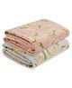 Florida All Season AC Baby Blanket Swaddler Wrapper Flannel Soft and Comfortable for 0-5 Years Babies with Dolphin Print - Pack of 2 Multicolor