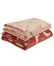 Florida All Season AC Baby Blanket Swaddler Wrapper Flannel Soft and Comfortable for 0-5 Years Babies with Car Print - Pack of 2 Multicolor