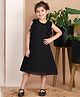 BaawRi Georgette Sleeveless Frills Detailed Dress - Black