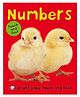 Bright Baby Touch & Feel Numbers - English