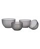 Varmora Homeware  Plastic Mixing Bowl Plastic Transparent Grey  Mixing Bowl - Set of 4