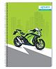 Apsara Single Line Spiral Notebook Blue - 252 Pages (Print may vary)