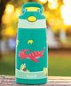Basil 430 ml Stainless Steel Insulated Sipper Bottle for Kids | Kids Water Bottle for Boys & Girls - Green Dino