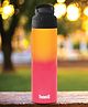 Basil  560 ml Stainless Steel Insulated Sipper Bottle for Kids | Kids Water Bottle for Boys & Girls- Orange