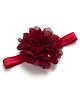 Bhoomi Collection Floral Designed & Polka Dots Foil Printed Headband - Maroon