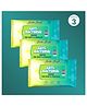 Silk Soft Anti-Bacterial Wet Wipes- Pack of 3